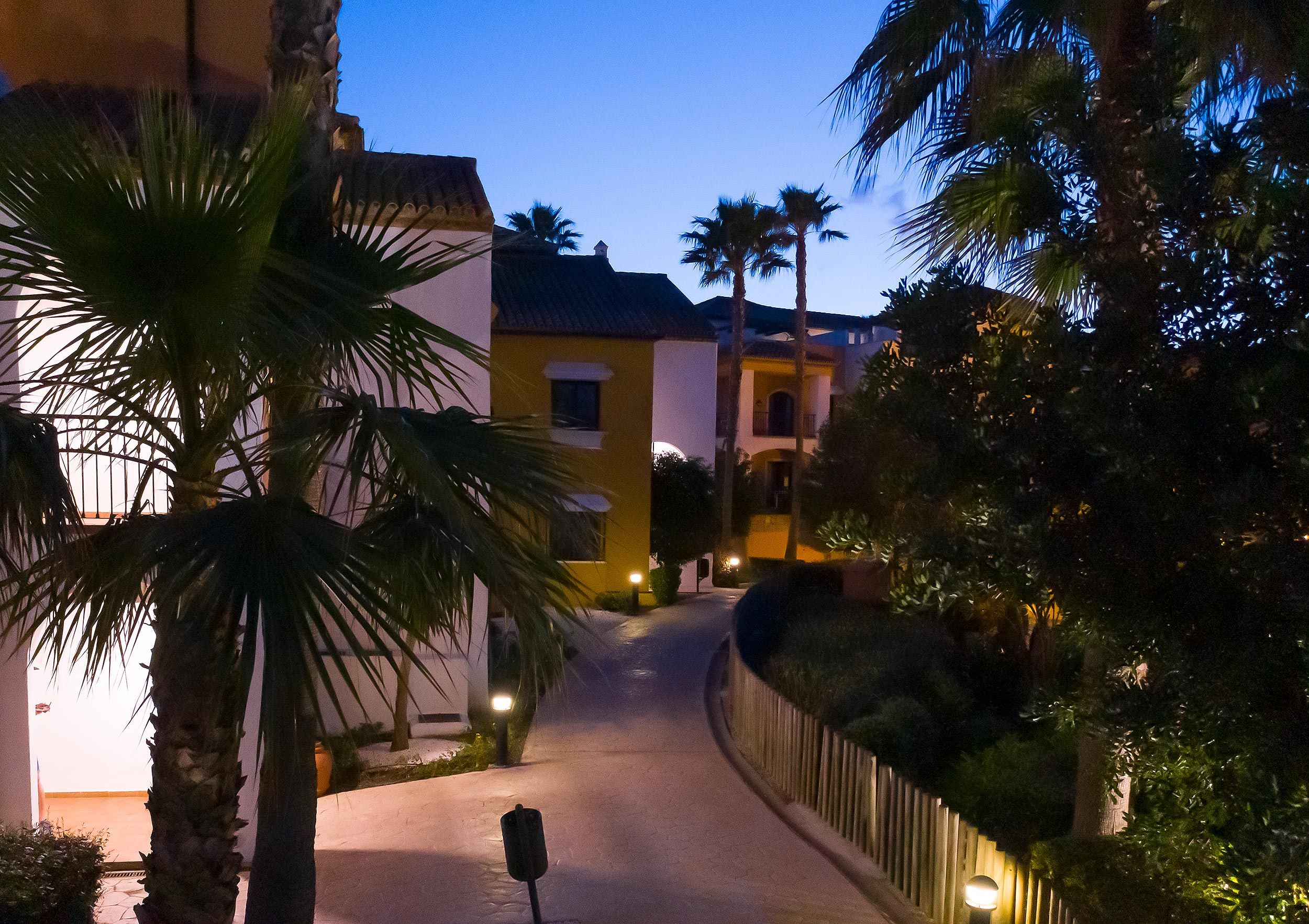 Weg mit Palmen in der Anlage am Abend