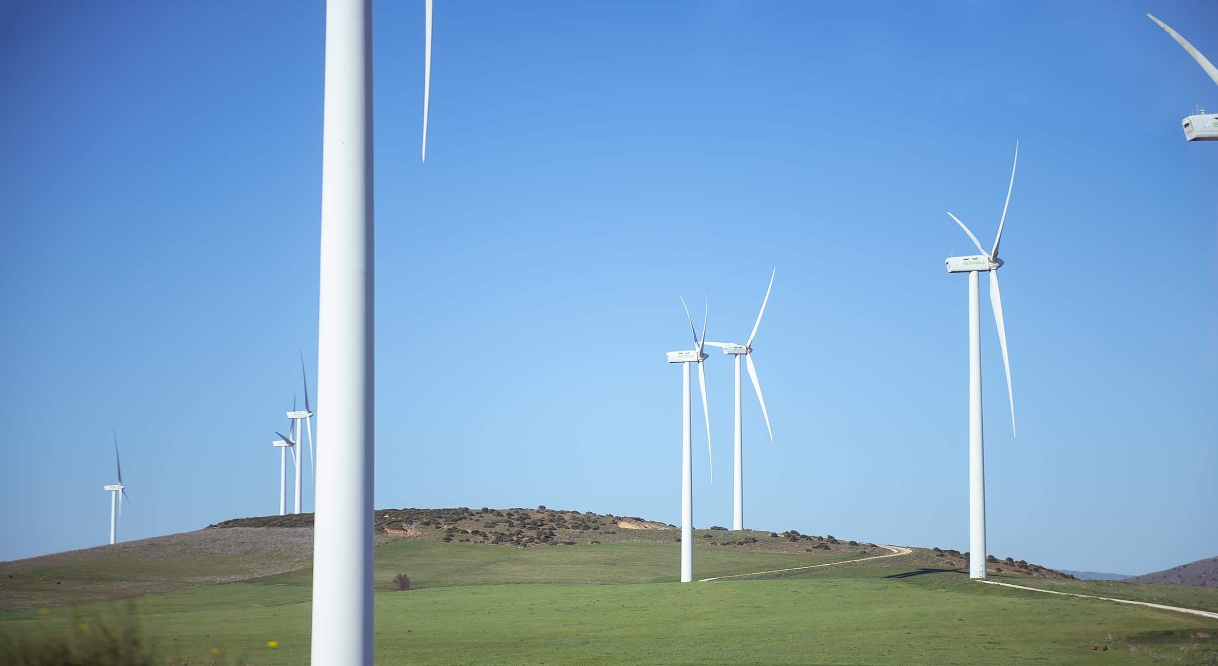 Windräder auf grünem Hügel
