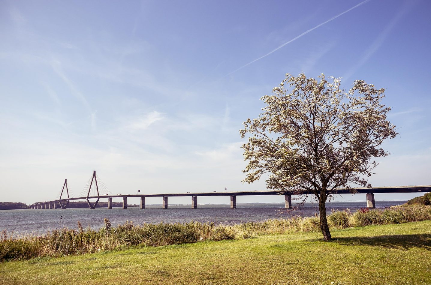 001-P8180531
