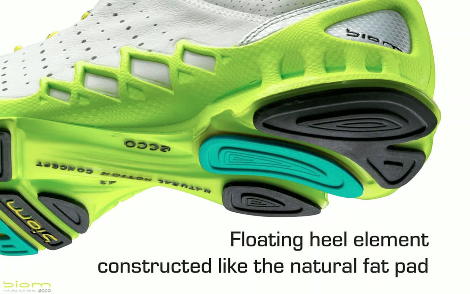 eccoBiom